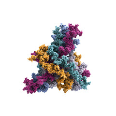 3D Render of a Complex Protein Structure, Molecular Model, Biochemistry Illustration