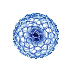 Abstract Blue Cellular Sphere, Microscopic Structure, 3D Render