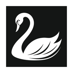 Elegant swan