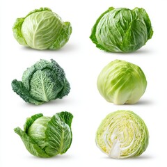 Fototapeta premium Assortment of six fresh cabbages in various styles, showcasing the versatility of this vegetable 