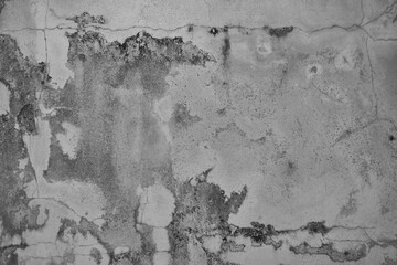 Distressed and Textured Gray Concrete Wall, with a Complex Mix o