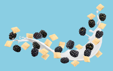 Splashing milk with sweet corn pads and fresh blackberries in air against light blue background....