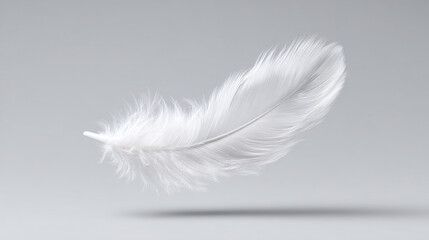 White feather floating symbolizing freedom and creativity