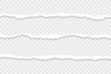 Obraz premium Torn and ripped paper textures create a blank banner with an empty space and old, grunge edges