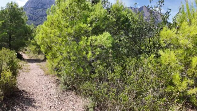 mountain trail, bush, sky, distant mountains, scenic view, landscape, nature, outdoor, hiking, trekking, adventure, panoramic, cinematic, Europe, Spain, Barcelona, greenery