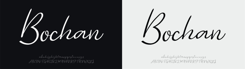 Bochan Signature Font Uppercase Lowercase And Number. Script Font Calligraphy Logotype  elegant Font Type Font lettering handwritten. vector illustration  
