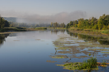 Serene river landscape with fog and lush vegetation