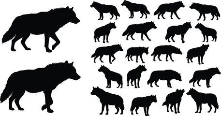 Wolf silhouette vector set showing various walking poses and stances, ideal for wildlife design, animal anatomy, and predator illustration