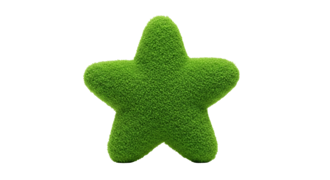 Green Moss Star Shape Isolated on Black Background for Nature and Eco Concepts