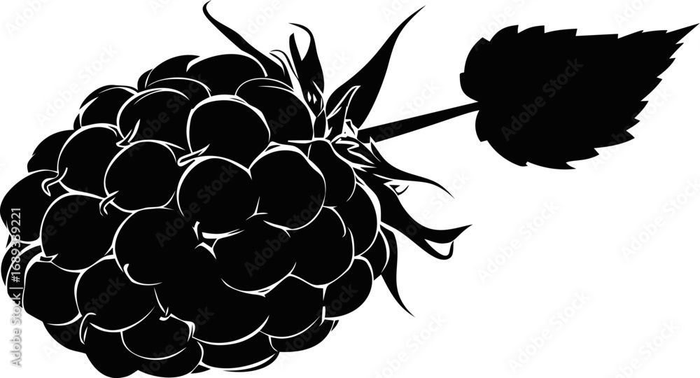Poster silhouette of a raspberry with leaf in vector style. vector illustration