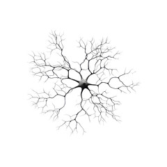 Microscopic View of a Neuron Cell, Intricate Neural Network, Brain Cell Structure
