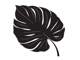 Tropical leaf silhouette vector illustration with clean style