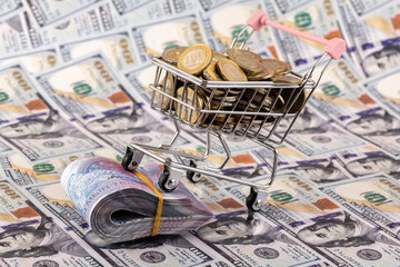 Banknotes of 10,000 Kazakhstani tenge and 100 tenge coins against the background of 100 US dollar...