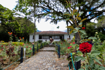 Beautiful rose garden and colonial house at the region of Valle del Cauca in Colombia