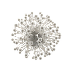 Microscopic View of Aspergillus Fungus Spores - 3D Render