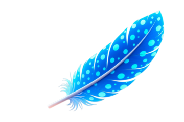blue feather on white background