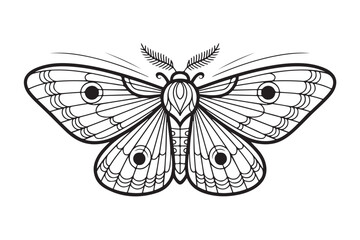 Detailed vector illustration of a moth in black and white