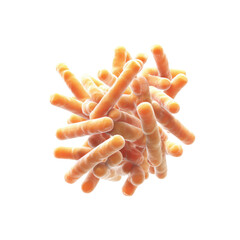 3D Render of Bifidobacteria Cluster - Probiotic Gut Bacteria
