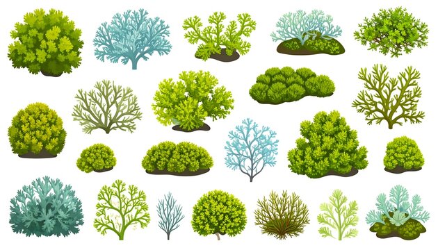 Various bushes and shrubs in flat style
