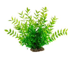 Artificial Green Aquatic Plant on a Plane, Ideal for Aquarium Decoration and Marine Life Simulation