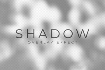 Shadow overlay effect. Transparent soft light and shadows from plant branches, leaves and foliage. Mockup of abstract transparent shadow overlay effect and natural lightning scene. Vector