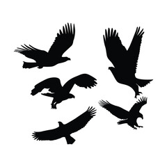 set of eagle fly silhouette design. predator bird symbol.