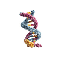 3D Render of DNA Double Helix Genetics, Molecular Biology, and Scientific Research