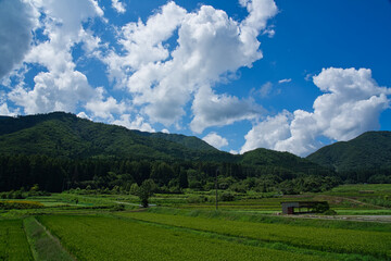 夏の田園風景、青空と白い雲が広がる長閑な里山