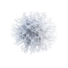 Microscopic View of a White Blood Cell, Immune System Cell, Detailed 3D Render