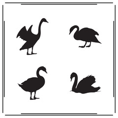 Obraz premium Set of Black Silhouettes of Swans: Vector Icons of Swimming and Standing Swans for Wildlife, Nature, and Animal Themes