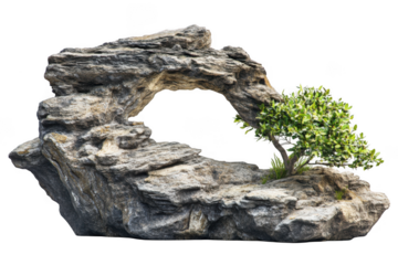 Detailed rock formation with arch and small tree growing on top, nature stone rockery, garden decoration, isolated on transparent background