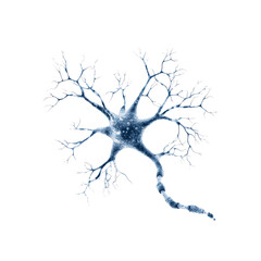 Microscopic View of a Neuron Cell, Detailed 3D Render of Neural Network