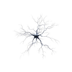 3D Render of a Neuron Cell, Intricate Neural Network, Brain Cell Structure