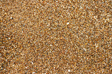 Dense Pebbles on Beach, Close-Up