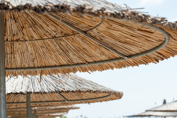 Row of Thatch Beach Umbrellas