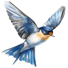 Obraz premium The illustration shows a small blue bird with outstretched wings soaring through the air, rendered in a watercolor style against a white background.