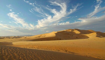 Desert landscape under a dramatic sky