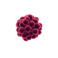 Microscopic Cluster of Cells 3D Render of a Cell Colony