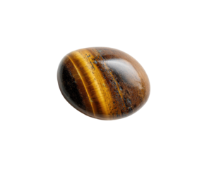 Polished oval tiger's eye gemstone