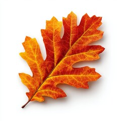 A close-up shot of a vibrant oak leaf during autumn