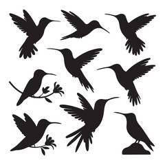 Obraz premium Flying Hummingbird Silhouette Vector Set, Elegant Birds in Motion Clipart, Tropical Nature and Wildlife Design