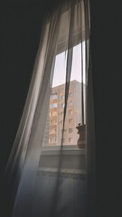 view from the window