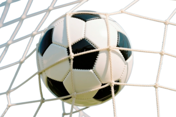 soccer ball in the net