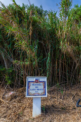 A serene courtyard with white buildings