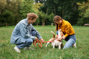 Couple spending time with adorable Beagle dog outdoors