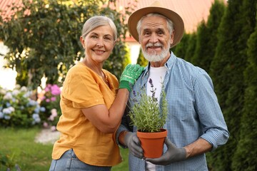 Portrait of happy senior couple in gloves with potted plant in garden