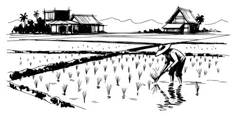 Asian farmer working in a rice paddy field vector sketch © Mago