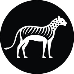 Abstract swirls of vibrant color flowing through dark space transparent background