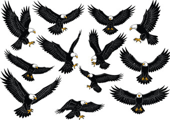 Bald Eagle Vector, Flying Eagle Illustration, American Bird Clipart, Predator Silhouette Art, Soaring Eagle Design, Wildlife Symbol Graphic
