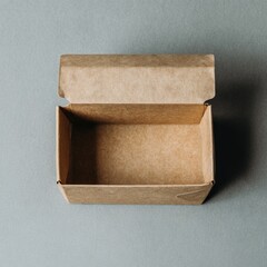 Open Cardboard Box Container